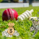 Stake: Your Cricket Betting Destination